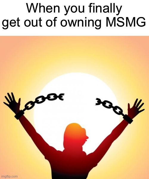 Best of luck to the new owner, Captain_Scar! | When you finally get out of owning MSMG | image tagged in freedom | made w/ Imgflip meme maker