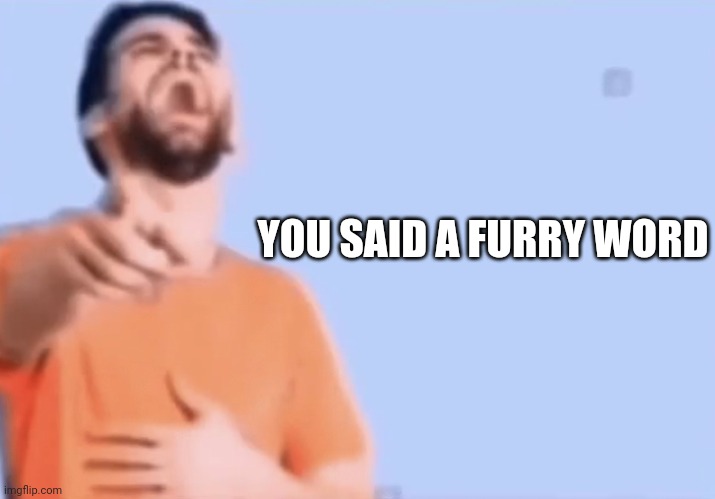 Pointing and laughing | YOU SAID A FURRY WORD | image tagged in pointing and laughing | made w/ Imgflip meme maker