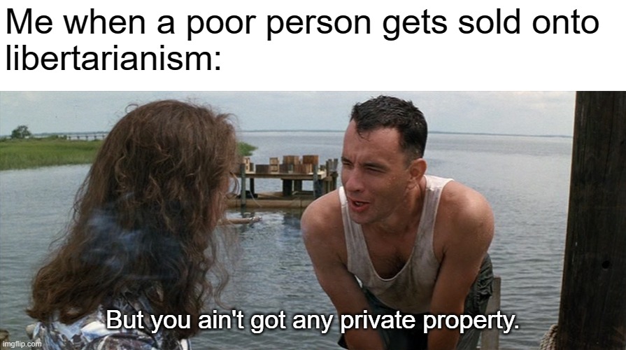 It’s a system for the rich, not the poor | Me when a poor person gets sold onto
libertarianism:; But you ain't got any private property. | image tagged in lt dan gump legs,libertarian,libertarians,capitalism,private property,anti-capitalist | made w/ Imgflip meme maker