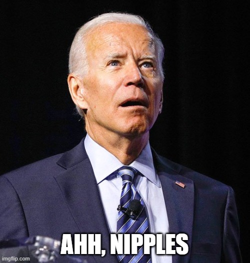 Joe Biden | AHH, NIPPLES | image tagged in joe biden | made w/ Imgflip meme maker