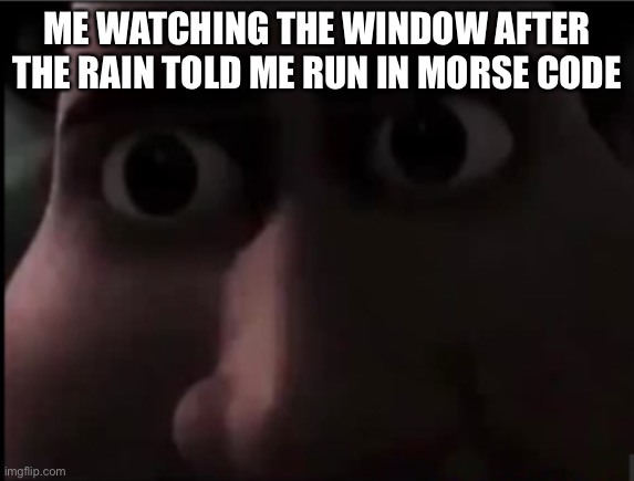 Oh no | ME WATCHING THE WINDOW AFTER THE RAIN TOLD ME RUN IN MORSE CODE | image tagged in tighten stare,memes,dark humor | made w/ Imgflip meme maker