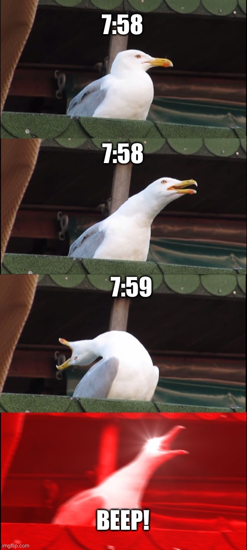 Alarm clocks be like | image tagged in memes,inhaling seagull | made w/ Imgflip meme maker