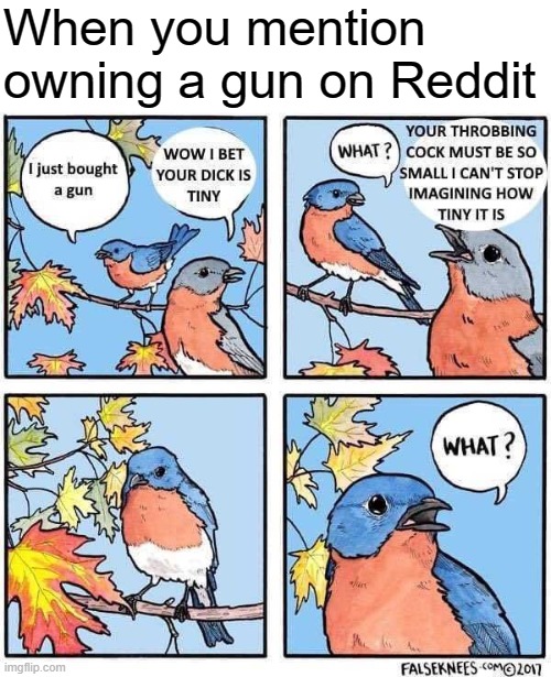 It's the biggest one I got ¯\(º_o)/¯ | When you mention owning a gun on Reddit | made w/ Imgflip meme maker