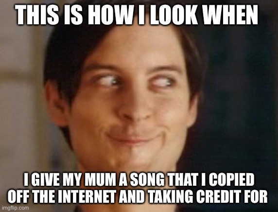 Spiderman Peter Parker Meme | THIS IS HOW I LOOK WHEN; I GIVE MY MUM A SONG THAT I COPIED OFF THE INTERNET AND TAKING CREDIT FOR | image tagged in memes,spiderman peter parker | made w/ Imgflip meme maker