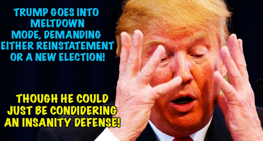 Plead insanity, Donald.  It's the only way! | TRUMP GOES INTO 
MELTDOWN MODE, DEMANDING 
EITHER REINSTATEMENT OR A NEW ELECTION! THOUGH HE COULD JUST BE CONDIDERING AN INSANITY DEFENSE! | image tagged in trump meltdown with hands | made w/ Imgflip meme maker