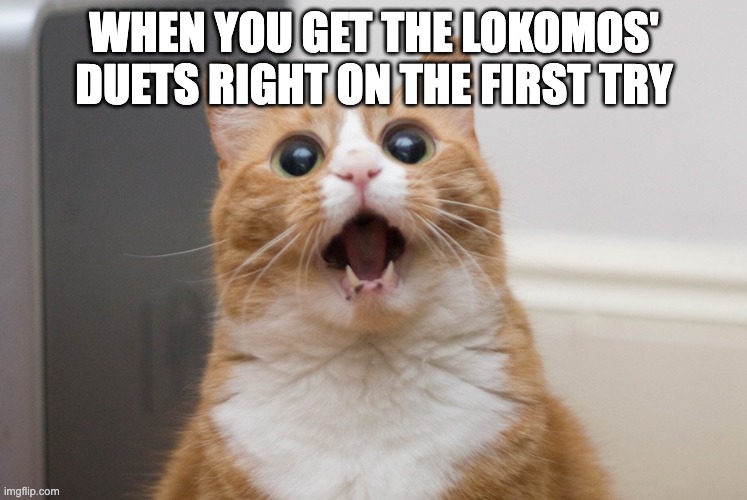 I mucked up so bad and Steem counted it as "right"... and I played it perfect and Gage said I had it wrong | WHEN YOU GET THE LOKOMOS' DUETS RIGHT ON THE FIRST TRY | image tagged in amazed cat | made w/ Imgflip meme maker
