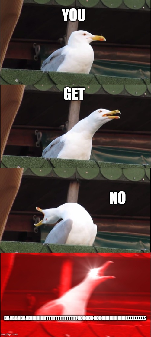 Inhaling Seagull | YOU; GET; NO; BBBBBBBBBBIIIIIIIIIIITTTTTTTTTTTTTTCCCCCCCCCCHHHHHHHHEEEEEEEEES | image tagged in memes,inhaling seagull | made w/ Imgflip meme maker