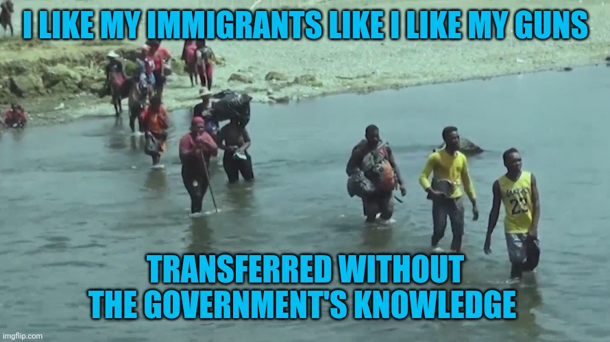 I LIKE MY IMMIGRANTS LIKE I LIKE MY GUNS TRANSFERRED WITHOUT THE GOVERNMENT'S KNOWLEDGE | made w/ Imgflip meme maker