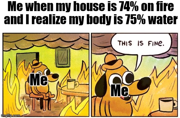 Insert funny name here |  Me when my house is 74% on fire and I realize my body is 75% water; Me; Me | image tagged in memes,this is fine,fire,water,human | made w/ Imgflip meme maker