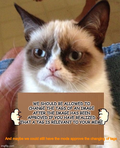 I'll explain the main reason I want this in a comment in this image | WE SHOULD BE ALLOWED TO CHANGE THE TAGS OF AN IMAGE AFTER THE IMAGE HAS BEEN APPROVED IF YOU HAVE REALIZED THAT A TAG IS RELEVANT TO YOUR MEME; And maybe we could still have the mods approve the changing of tags | image tagged in grumpy cat cardboard sign,tags,mods | made w/ Imgflip meme maker