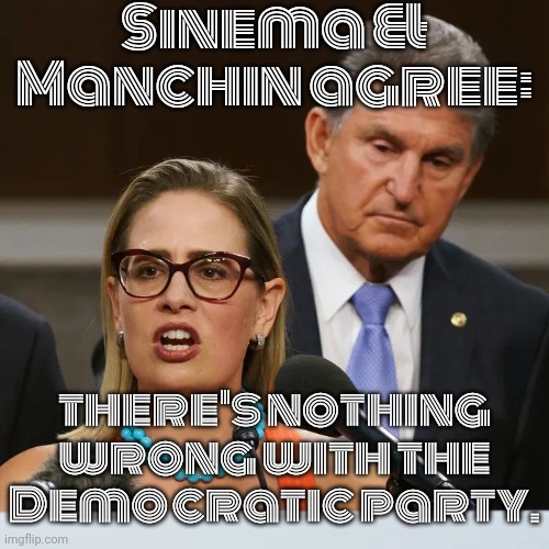 Pay no attention to the man behind the curtain. | Sinema & Manchin agree: there's nothing wrong with the Democratic party. | image tagged in joe manchin kyrsten sinema,sell out,wake up,corruption | made w/ Imgflip meme maker