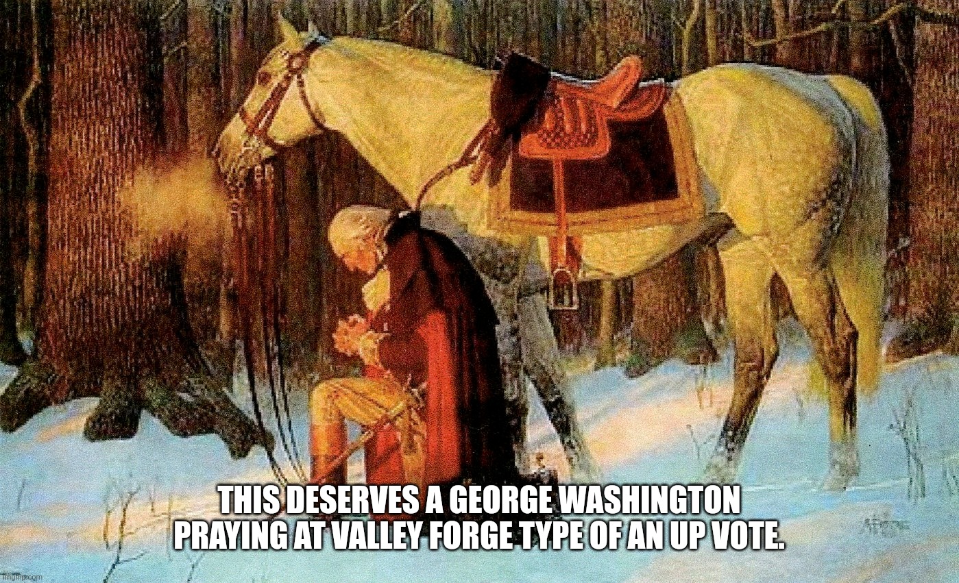 THIS DESERVES A GEORGE WASHINGTON PRAYING AT VALLEY FORGE TYPE OF AN UP VOTE. | made w/ Imgflip meme maker