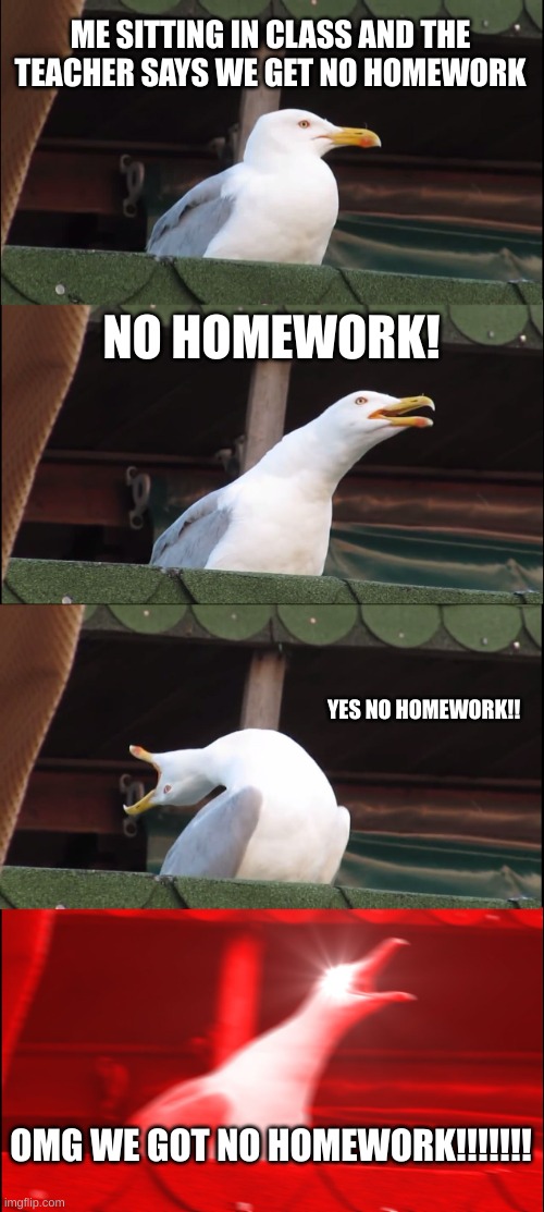 Inhaling Seagull | ME SITTING IN CLASS AND THE TEACHER SAYS WE GET NO HOMEWORK; NO HOMEWORK! YES NO HOMEWORK!! OMG WE GOT NO HOMEWORK!!!!!!! | image tagged in memes,inhaling seagull | made w/ Imgflip meme maker