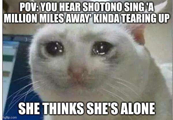 crying cat | POV: YOU HEAR SHOTONO SING 'A MILLION MILES AWAY' KINDA TEARING UP; SHE THINKS SHE'S ALONE | image tagged in crying cat | made w/ Imgflip meme maker