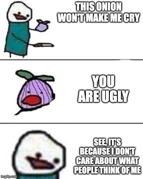 :D Have a nice day | THIS ONION WON'T MAKE ME CRY; YOU ARE UGLY; SEE, IT'S BECAUSE I DON'T CARE ABOUT WHAT PEOPLE THINK OF ME | image tagged in yay | made w/ Imgflip meme maker