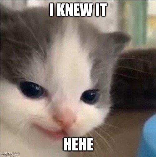Hehe cat | I KNEW IT HEHE | image tagged in hehe cat | made w/ Imgflip meme maker