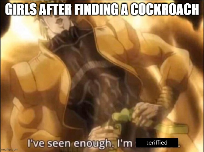Ive seen enough. Im terrified. | GIRLS AFTER FINDING A COCKROACH | image tagged in ive seen enough im terrified | made w/ Imgflip meme maker