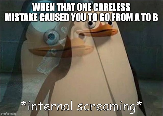 Why does this happen to me every single time | WHEN THAT ONE CARELESS MISTAKE CAUSED YOU TO GO FROM A TO B | image tagged in private internal screaming | made w/ Imgflip meme maker