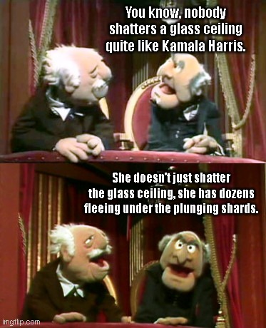 Statler and Waldorf | You know, nobody shatters a glass ceiling quite like Kamala Harris. She doesn't just shatter the glass ceiling, she has dozens fleeing under the plunging shards. | image tagged in statler and waldorf template,kamala harris,shattering the glass ceiling,epic fail,political humor | made w/ Imgflip meme maker