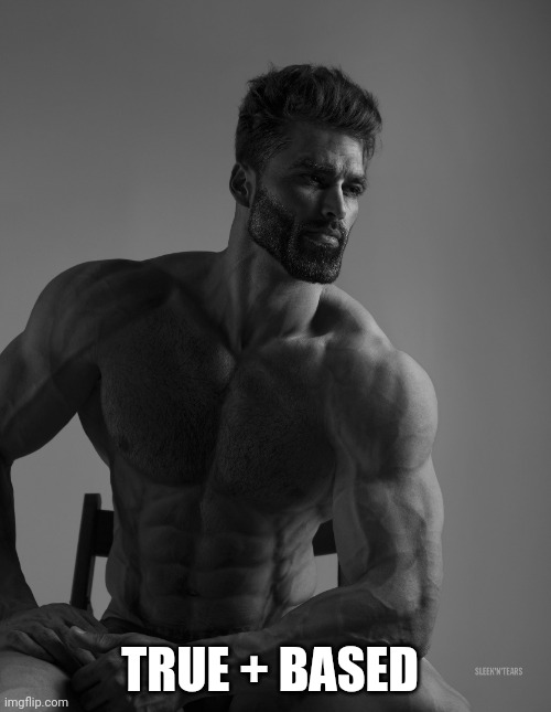 Giga Chad | TRUE + BASED | image tagged in giga chad | made w/ Imgflip meme maker