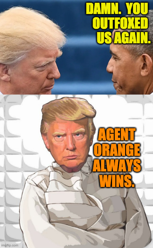 DAMN.  YOU 
OUTFOXED 
US AGAIN. AGENT
ORANGE
ALWAYS
WINS. | made w/ Imgflip meme maker