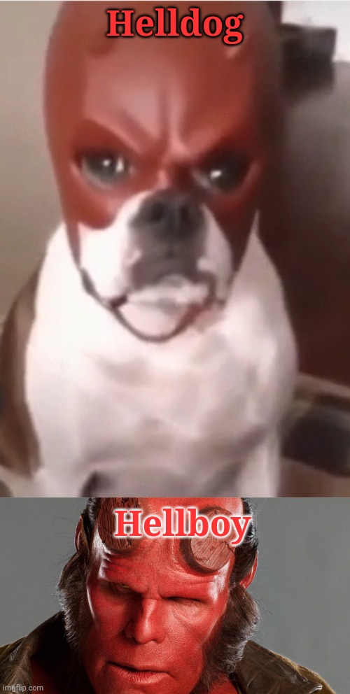 Helldog | Helldog; Hellboy | image tagged in hell dog,hellboy | made w/ Imgflip meme maker