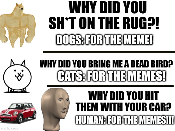 FOR THE MEMES! | WHY DID YOU SH*T ON THE RUG?! DOGS: FOR THE MEME! WHY DID YOU BRING ME A DEAD BIRD? CATS: FOR THE MEMES! WHY DID YOU HIT THEM WITH YOUR CAR? HUMAN: FOR THE MEMES!!! | image tagged in doge,cat,meme man,funny memes | made w/ Imgflip meme maker