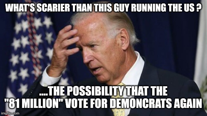 Done it once.... | WHAT'S SCARIER THAN THIS GUY RUNNING THE US ? ....THE POSSIBILITY THAT THE "81 MILLION" VOTE FOR DEMONCRATS AGAIN | image tagged in joe biden worries | made w/ Imgflip meme maker