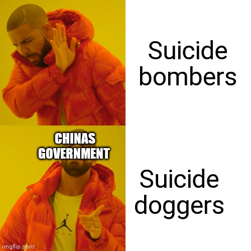 Drake Hotline Bling Meme | Suicide bombers Suicide doggers CHINAS GOVERNMENT | image tagged in memes,drake hotline bling | made w/ Imgflip meme maker