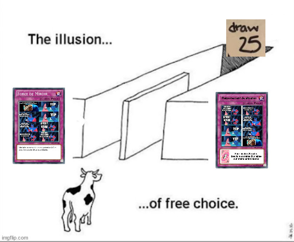 Illusion of free choice | image tagged in illusion of free choice | made w/ Imgflip meme maker