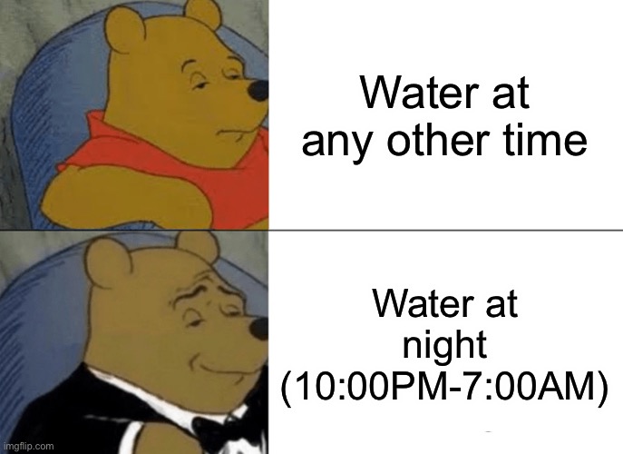 Nighttime in a nutshell | Water at any other time; Water at night (10:00PM-7:00AM) | image tagged in memes,tuxedo winnie the pooh,water,night | made w/ Imgflip meme maker