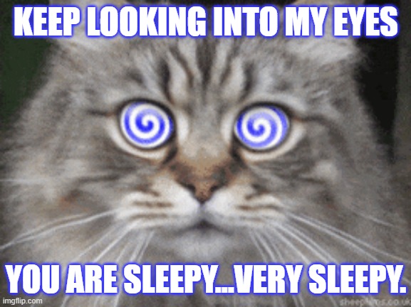 KEEP LOOKING INTO MY EYES YOU ARE SLEEPY...VERY SLEEPY. | made w/ Imgflip meme maker