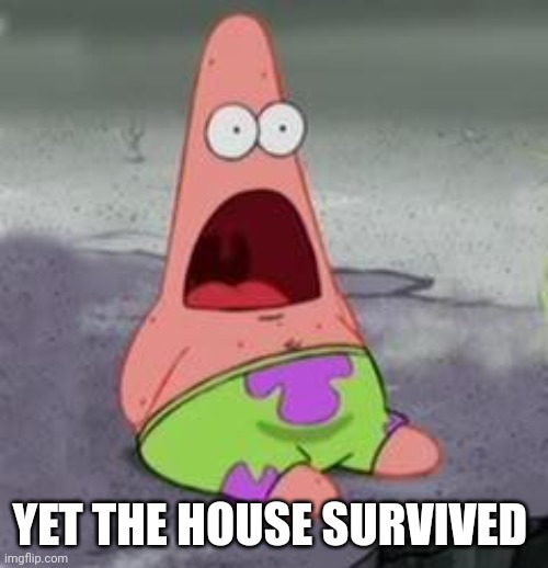 Suprised Patrick | YET THE HOUSE SURVIVED | image tagged in suprised patrick | made w/ Imgflip meme maker