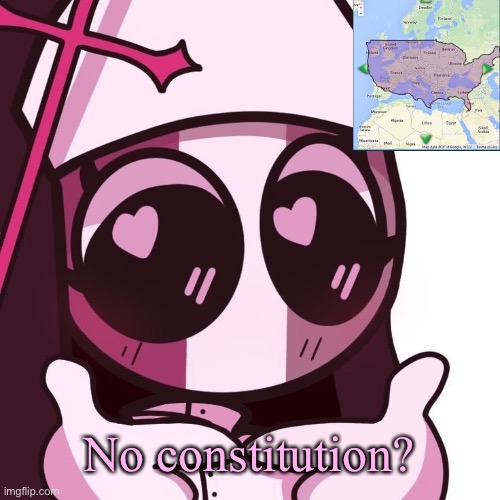 None at all? | No constitution? | image tagged in sarv | made w/ Imgflip meme maker