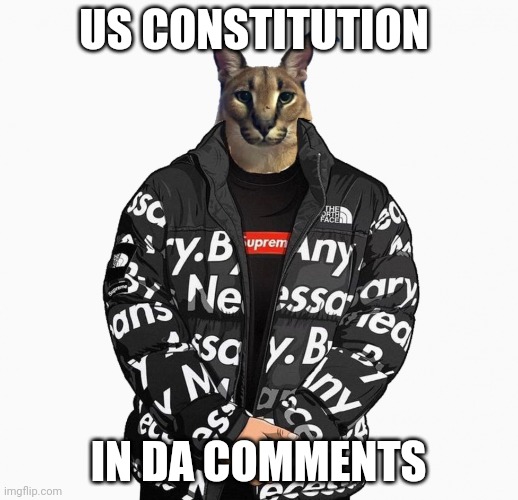 Floppa drip | US CONSTITUTION; IN DA COMMENTS | image tagged in floppa drip | made w/ Imgflip meme maker