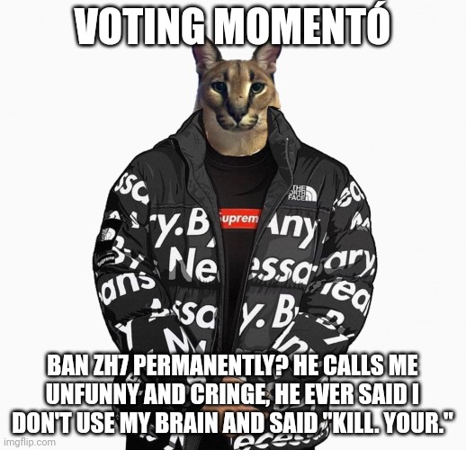 Floppa drip | VOTING MOMENTÓ; BAN ZH7 PERMANENTLY? HE CALLS ME UNFUNNY AND CRINGE, HE EVER SAID I DON'T USE MY BRAIN AND SAID "KILL. YOUR." | image tagged in floppa drip | made w/ Imgflip meme maker