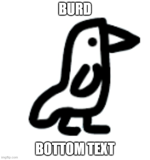 burd.jpeg | BURD; BOTTOM TEXT | image tagged in burd | made w/ Imgflip meme maker