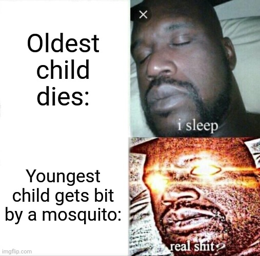 Sleeping Shaq Meme | Oldest child dies:; Youngest child gets bit by a mosquito: | image tagged in memes,sleeping shaq | made w/ Imgflip meme maker