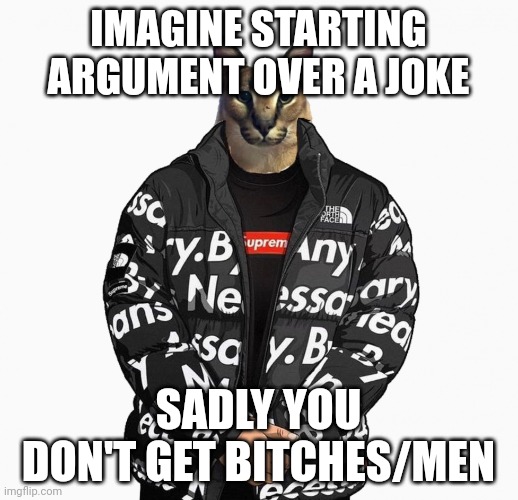 Floppa drip | IMAGINE STARTING ARGUMENT OVER A JOKE; SADLY YOU DON'T GET BITCHES/MEN | image tagged in floppa drip | made w/ Imgflip meme maker