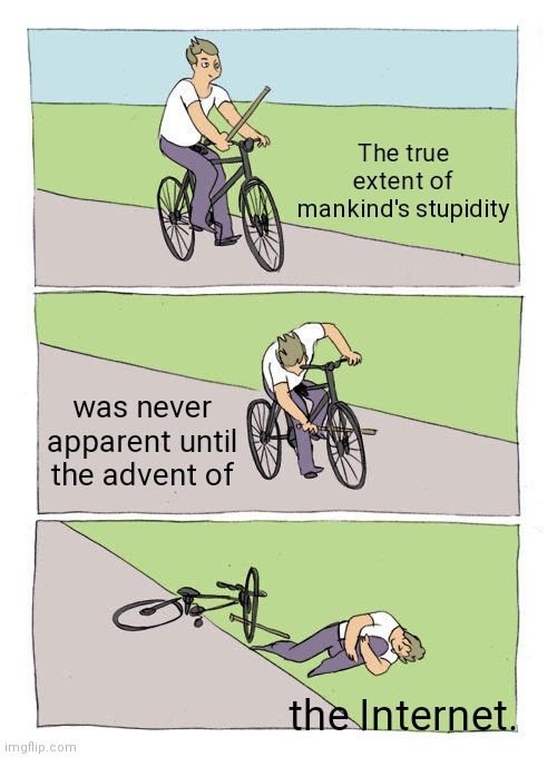 Stupidity | The true extent of mankind's stupidity; was never apparent until the advent of; the Internet. | image tagged in memes,bike fall | made w/ Imgflip meme maker