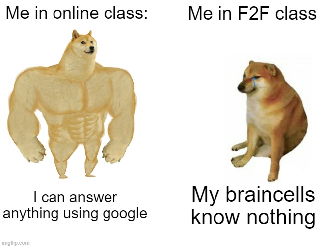 Buff Doge vs. Cheems | Me in online class:; Me in F2F class; I can answer anything using google; My braincells know nothing | image tagged in memes,buff doge vs cheems | made w/ Imgflip meme maker