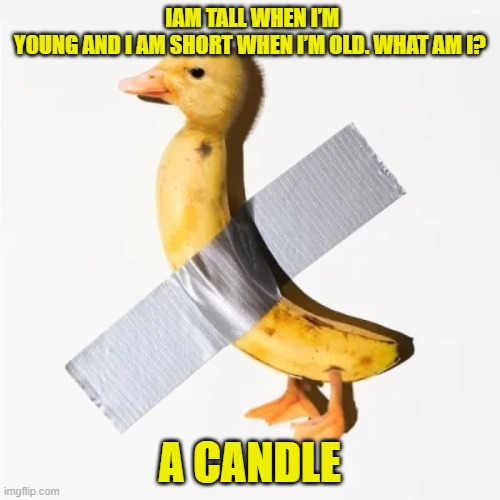 IAM TALL WHEN I’M YOUNG AND I AM SHORT WHEN I’M OLD. WHAT AM I? A CANDLE | image tagged in riddle | made w/ Imgflip meme maker