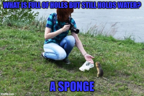 WHAT IS FULL OF HOLES BUT STILL HOLDS WATER? A SPONGE | image tagged in riddle | made w/ Imgflip meme maker