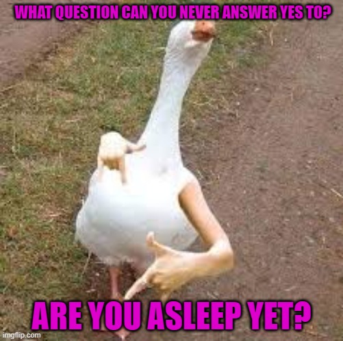 WHAT QUESTION CAN YOU NEVER ANSWER YES TO? ARE YOU ASLEEP YET? | image tagged in riddle | made w/ Imgflip meme maker