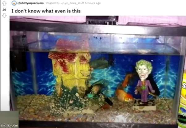 Uh-oh | image tagged in cursed image,aquarium | made w/ Imgflip meme maker