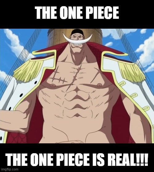 THE ONE PIECE IS REAL!!! | THE ONE PIECE; THE ONE PIECE IS REAL!!! | image tagged in onepiece | made w/ Imgflip meme maker