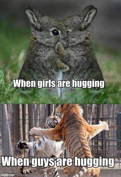 image tagged in repost | made w/ Imgflip meme maker