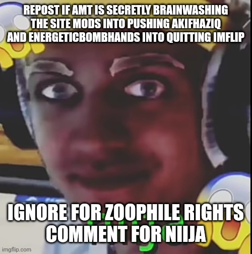 FYI: AMT is Anti-MSMG Taskforce. They are a plague upon MSMG. | REPOST IF AMT IS SECRETLY BRAINWASHING THE SITE MODS INTO PUSHING AKIFHAZIQ AND ENERGETICBOMBHANDS INTO QUITTING IMFLIP; IGNORE FOR ZOOPHILE RIGHTS
COMMENT FOR NIIJA | image tagged in niija | made w/ Imgflip meme maker