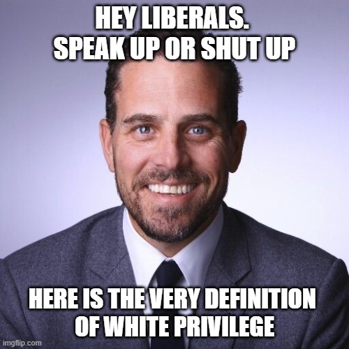 Isn't this something we can all agree on? | HEY LIBERALS. 
SPEAK UP OR SHUT UP; HERE IS THE VERY DEFINITION 
OF WHITE PRIVILEGE | image tagged in hunter biden,democrats,liberals,woke,joe biden,white privilege | made w/ Imgflip meme maker