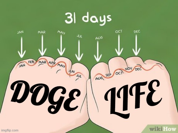 Learn the Days in a Month | LIFE; DOGE | image tagged in dogelife | made w/ Imgflip meme maker